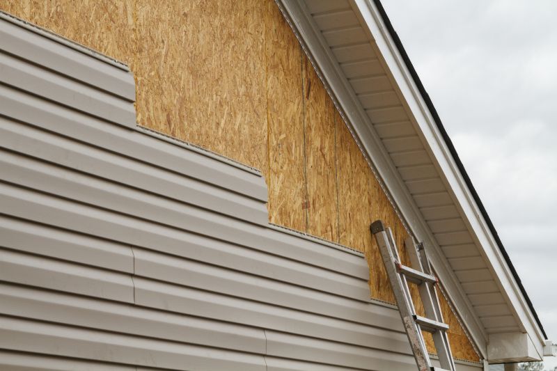 Professional Vinyl Siding Application